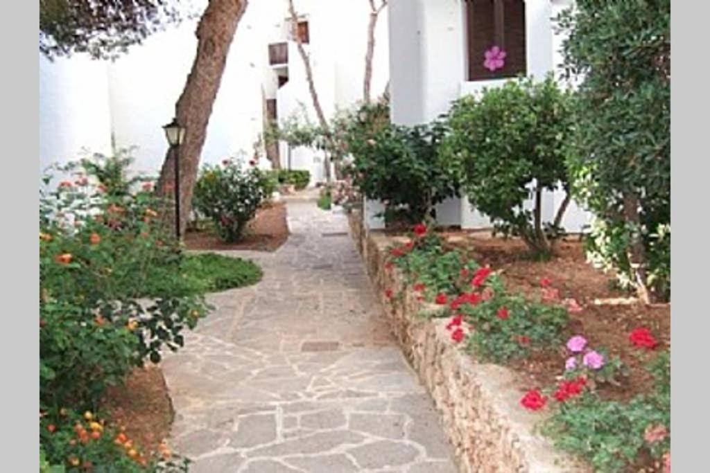 Apartamento Sea Frontline 'faraona'. Pool. Wifi Santanyí